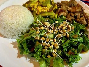 Fresh healthy meal served during a Costa Rica ancestral medicine and wellness retreat.