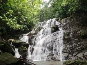 Tropical waterfall surrounded by lush rainforest visited during a Costa Rica ancestral medicine retreat.