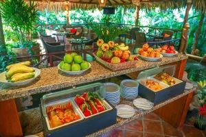 Fresh tropical fruit and healthy breakfast buffet served at a luxury wellness retreat in Costa Rica.